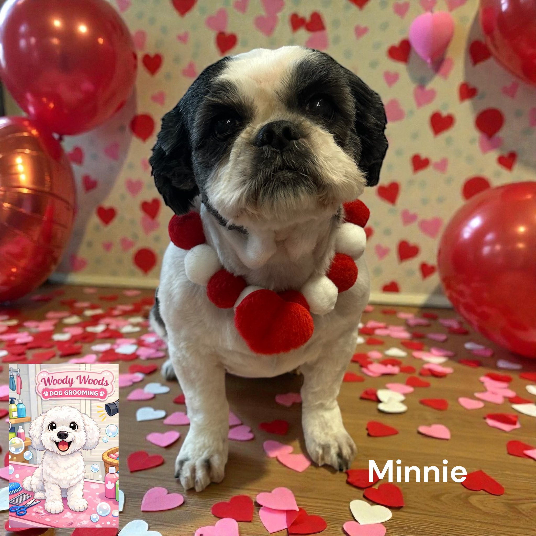 Happy pups at Woody Woods